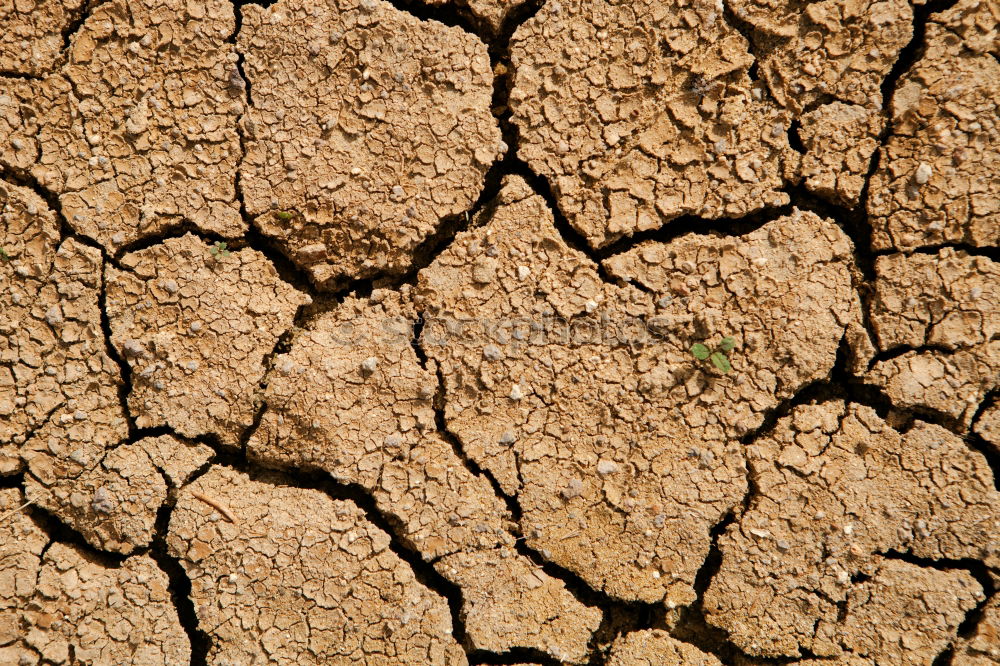 Similar – yellow tennis ball on the dessert ground