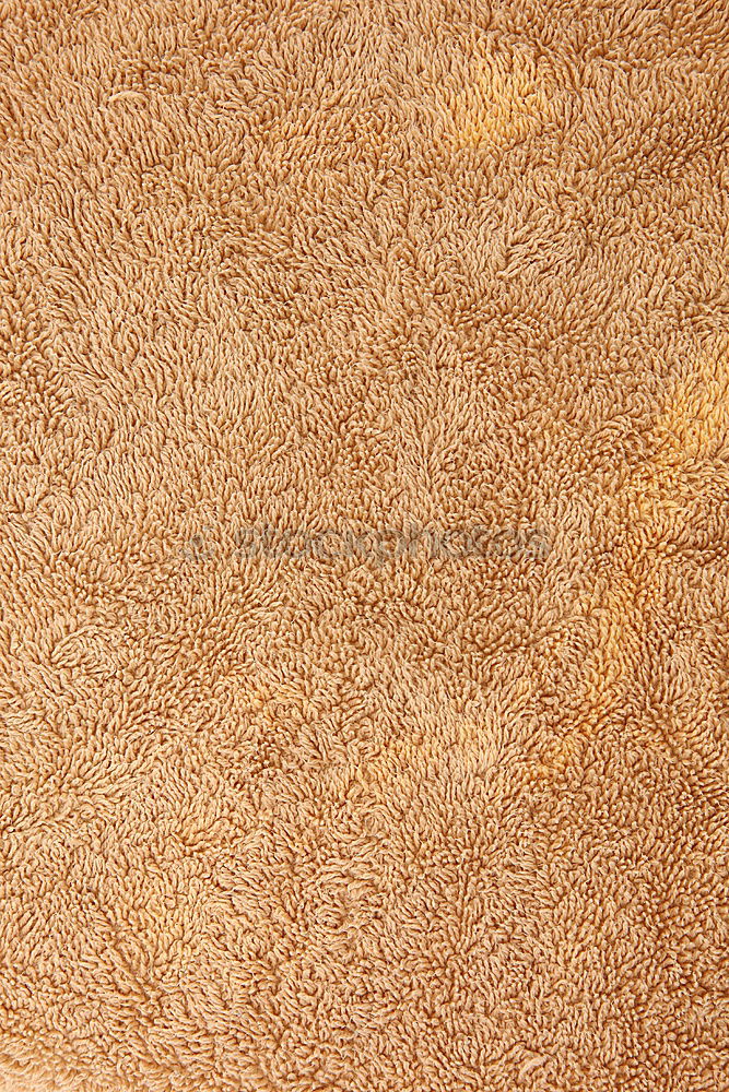 Similar – Image, Stock Photo in oman rub al khali old desert and the
