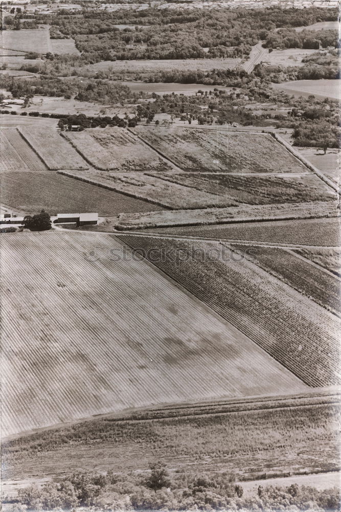 Similar – Foto Bild Feld- und Wiesengeometrie