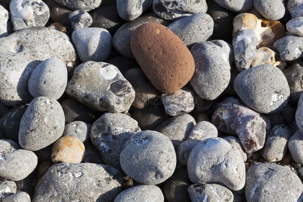 Similar – Sand.ale Fuß Strand Bucht