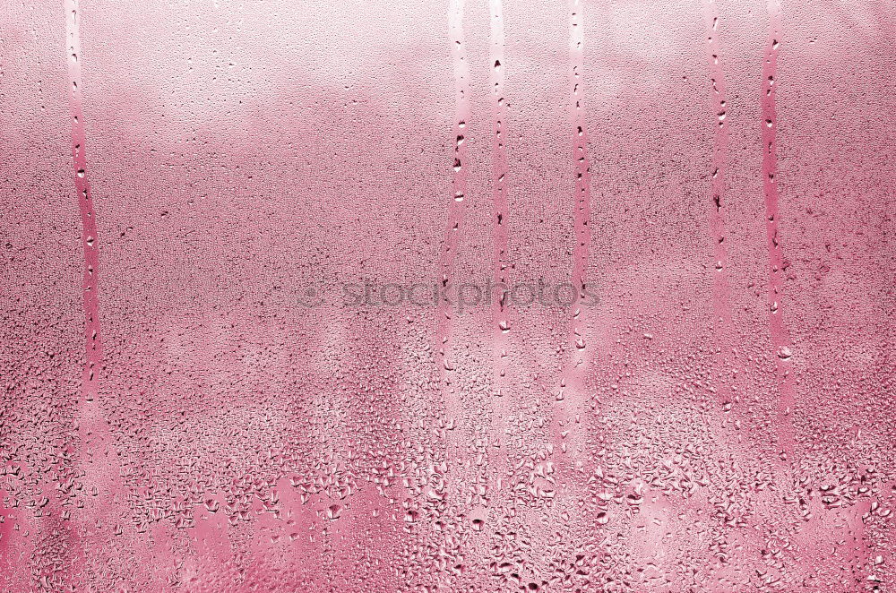 Similar – Rainy Morning Circle Red