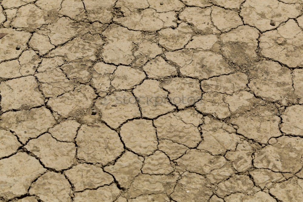 Similar – aridity Dry Drought