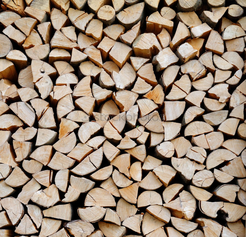 Similar – Image, Stock Photo Wood in front of the hut