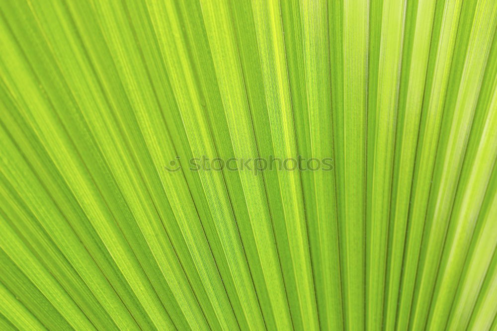 Similar – Image, Stock Photo green II Green