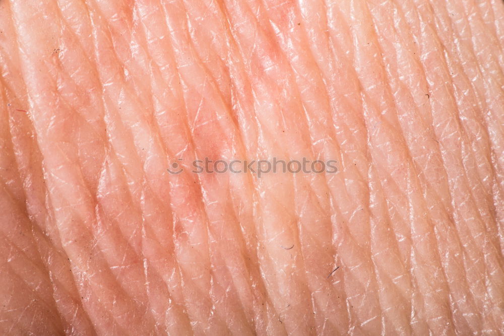 Similar – Human skin close up Body