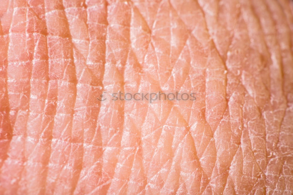 Similar – Human skin close up Body