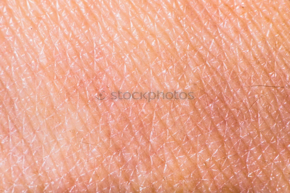 Similar – Human skin close up Body