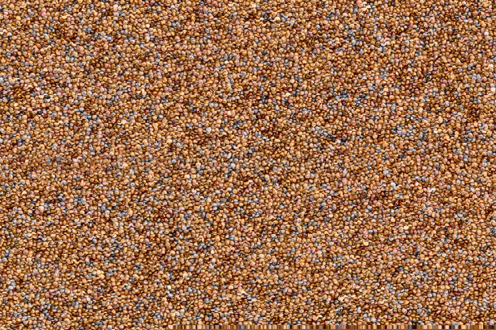 Similar – Image, Stock Photo Wallpaper with small stones of the beach