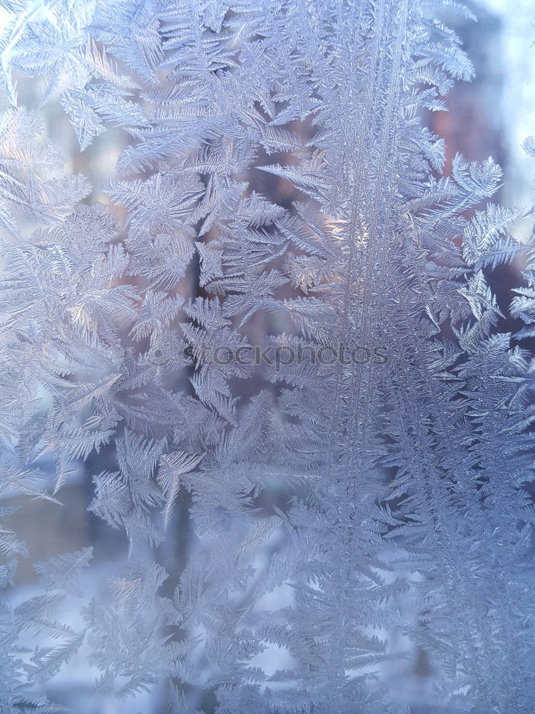 Similar – Image, Stock Photo ice leaves Design