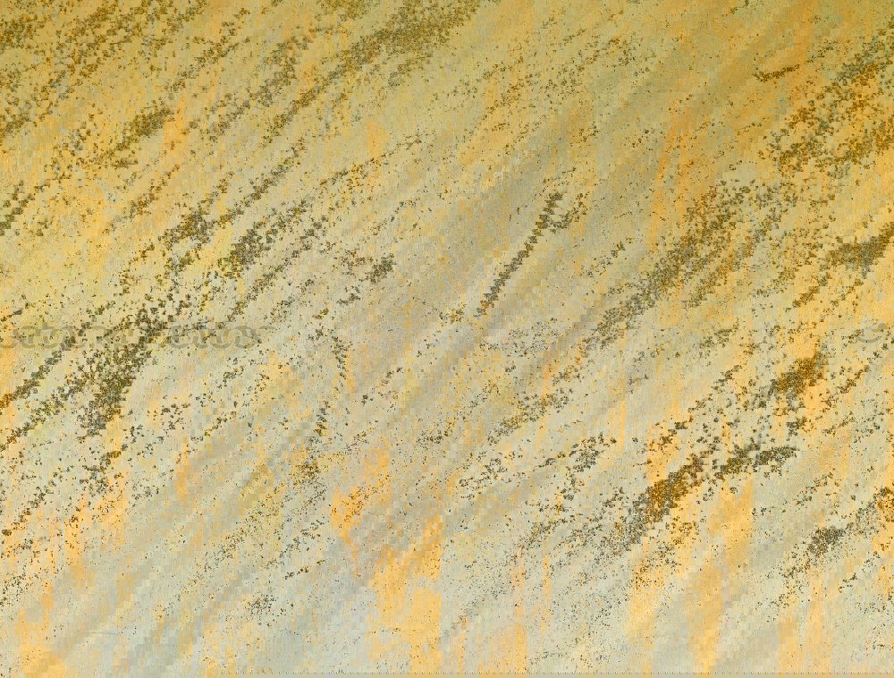Similar – Image, Stock Photo Dendrite in limestone rock. found in solnhofen (Germany)