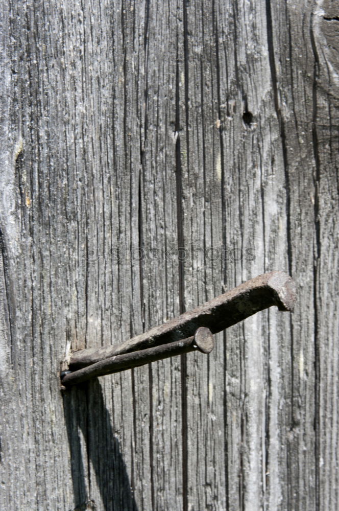 Image, Stock Photo frozen wood Environment