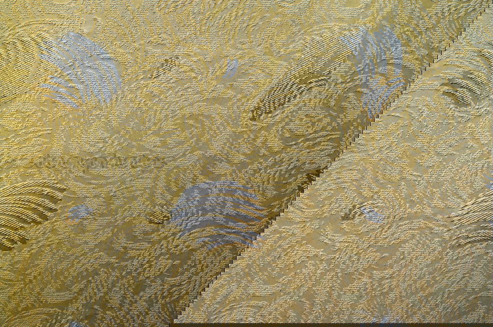 Similar – Image, Stock Photo Dendrite in limestone rock. found in solnhofen (Germany)