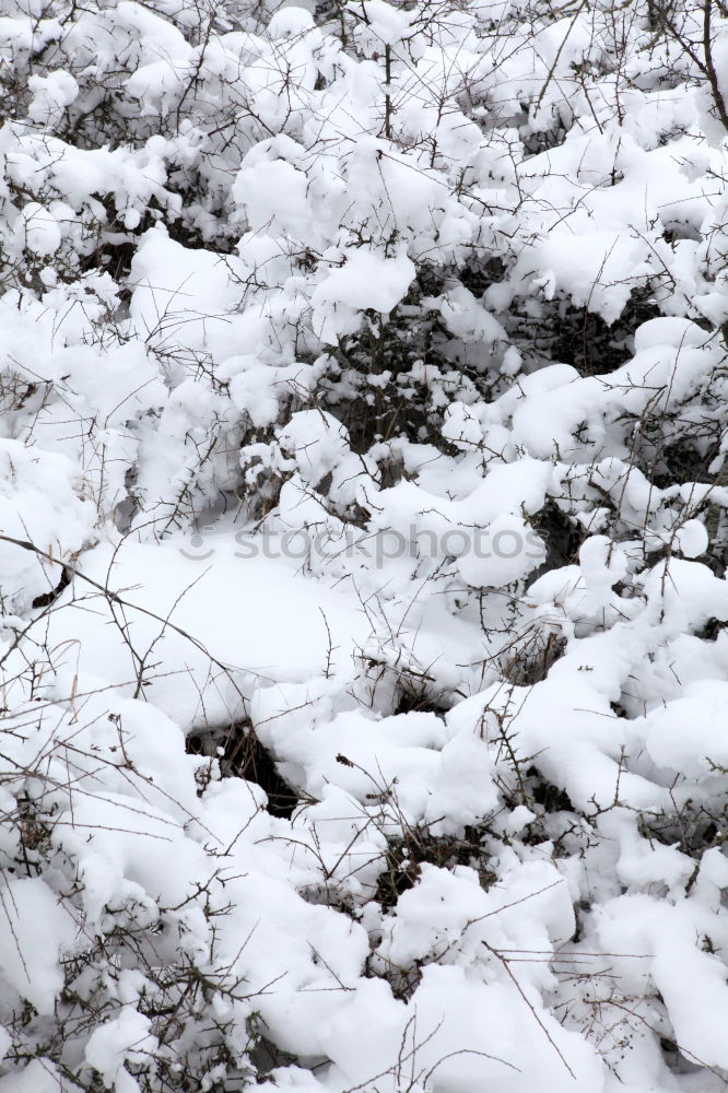 Similar – Winter landscape with icy water analog