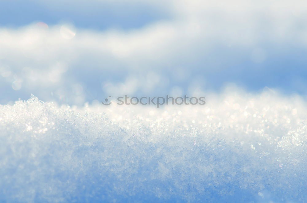 Similar – Image, Stock Photo Winter vs. Spring