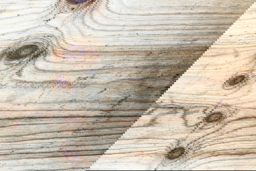 Similar – Foto Bild Tröpfchen Wassertropfen