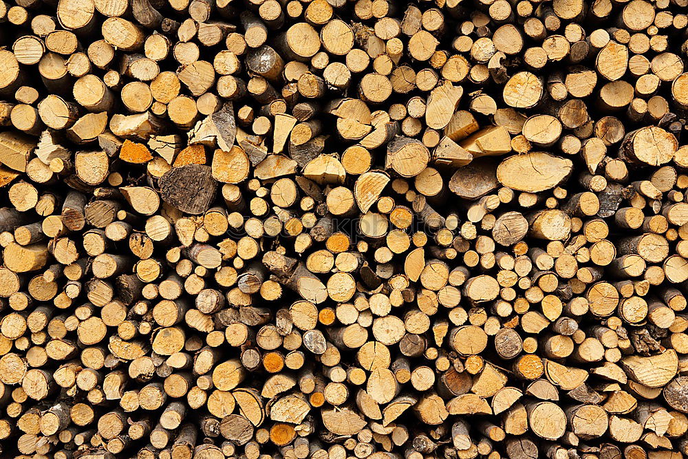 Similar – holzstapel Holz Holzstapel