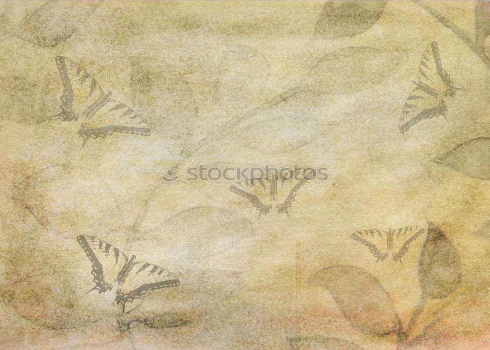 Similar – Paper background