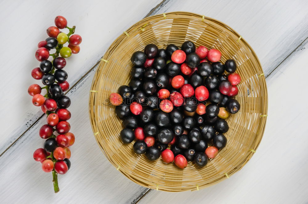 Similar – blackberries Nature Fruit