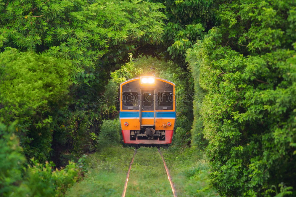 Similar – Image, Stock Photo train ride Nature