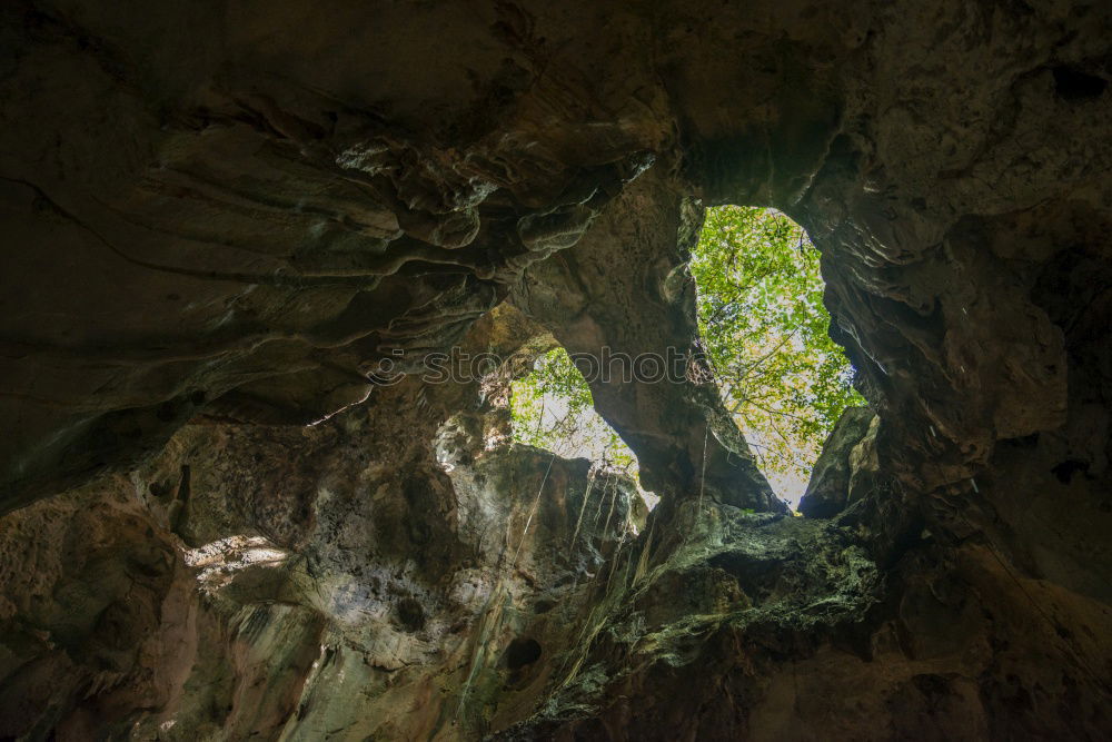 Similar – Image, Stock Photo canyon Environment Nature