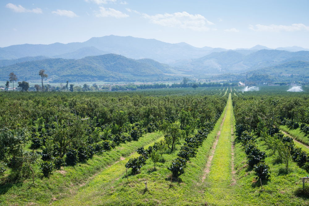 Similar – Neretva Delta in Kroatien