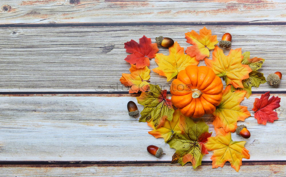 Similar – Image, Stock Photo Autumn bouquet of flowers in vase on the table by the window