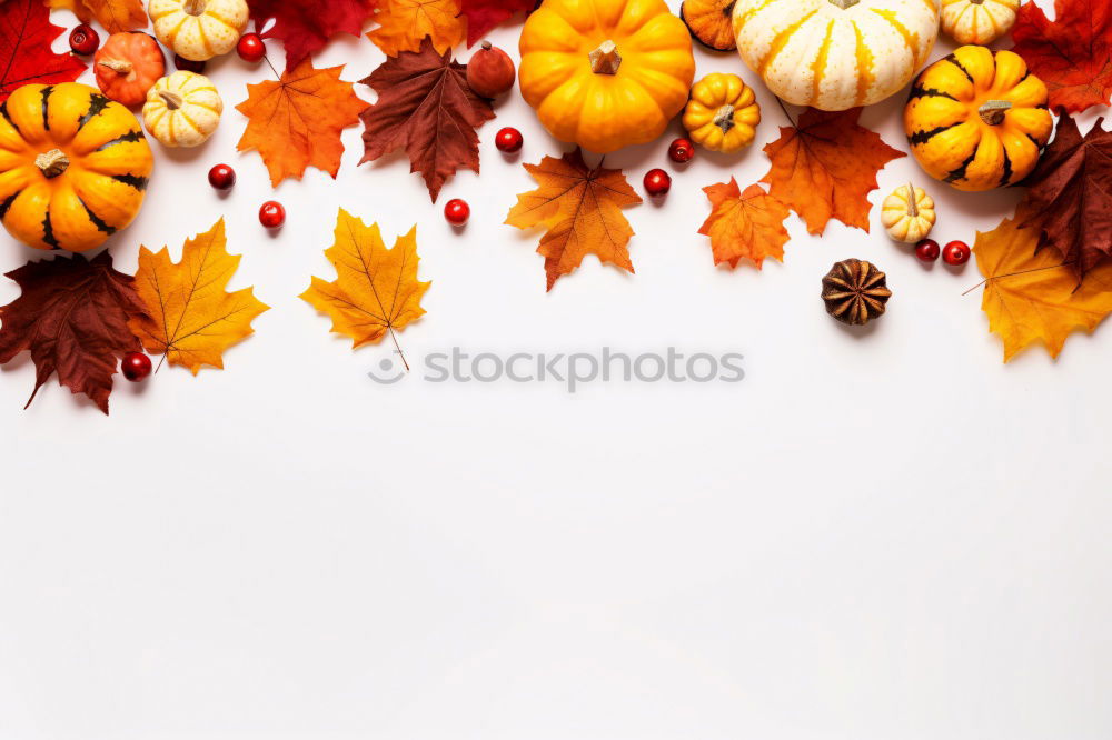 Similar – Bฺlank paper with autumn leaves and pumpkin