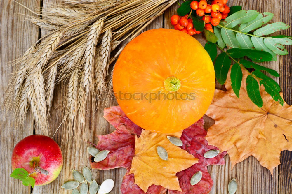 Similar – Autumnal symbolic cookies