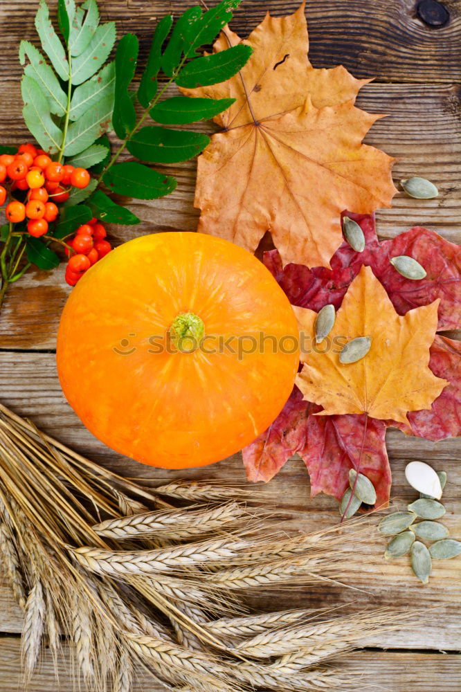 Autumnal symbolic cookies