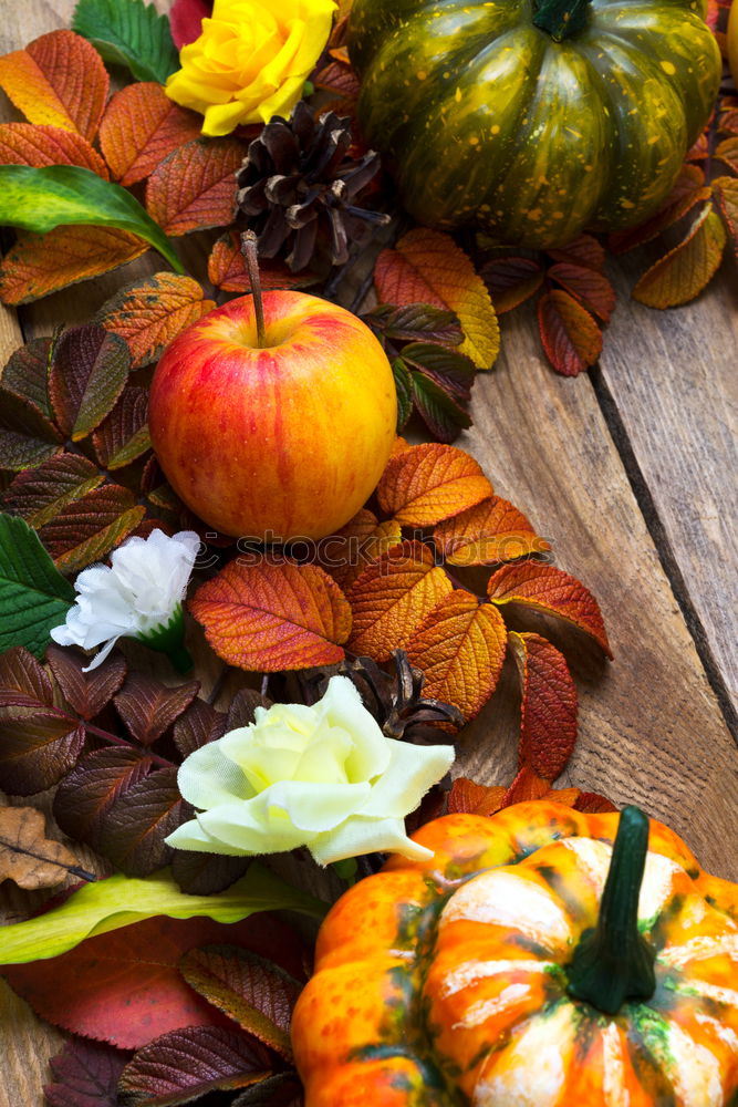 Similar – Autumn decoration with pumpkin and make leaves