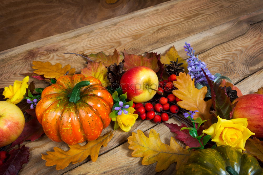 Similar – Autumn decoration with pumpkin and make leaves