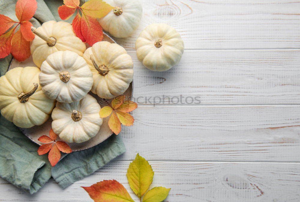 Similar – Autumn still life with pumpkins and autumn leaves