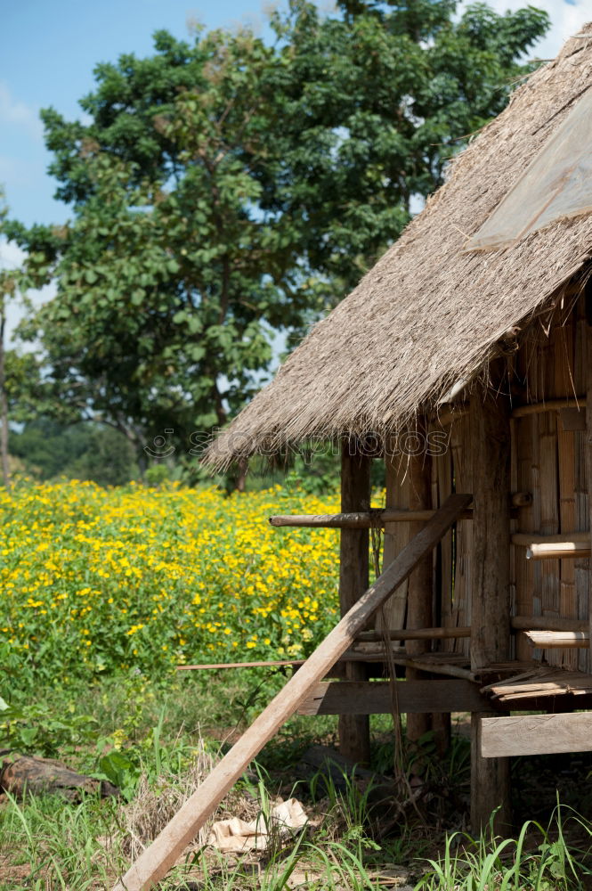 Similar – Image, Stock Photo Wooden house in forest