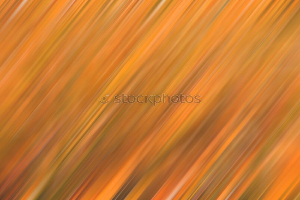 Similar – Image, Stock Photo Orange world Life