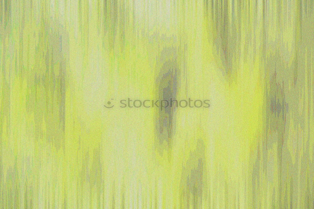 Similar – Image, Stock Photo forest impressions Nature