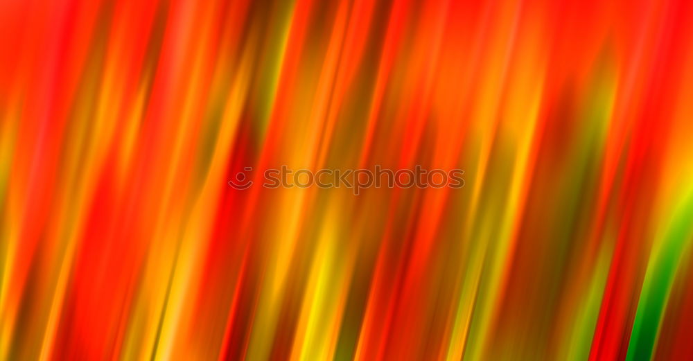 Similar – Image, Stock Photo Close up of a Stargazer lily in bloom in July