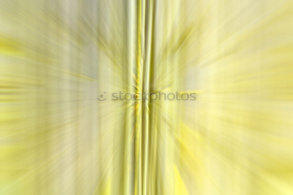 Similar – Image, Stock Photo dandelion seeds Dandelion