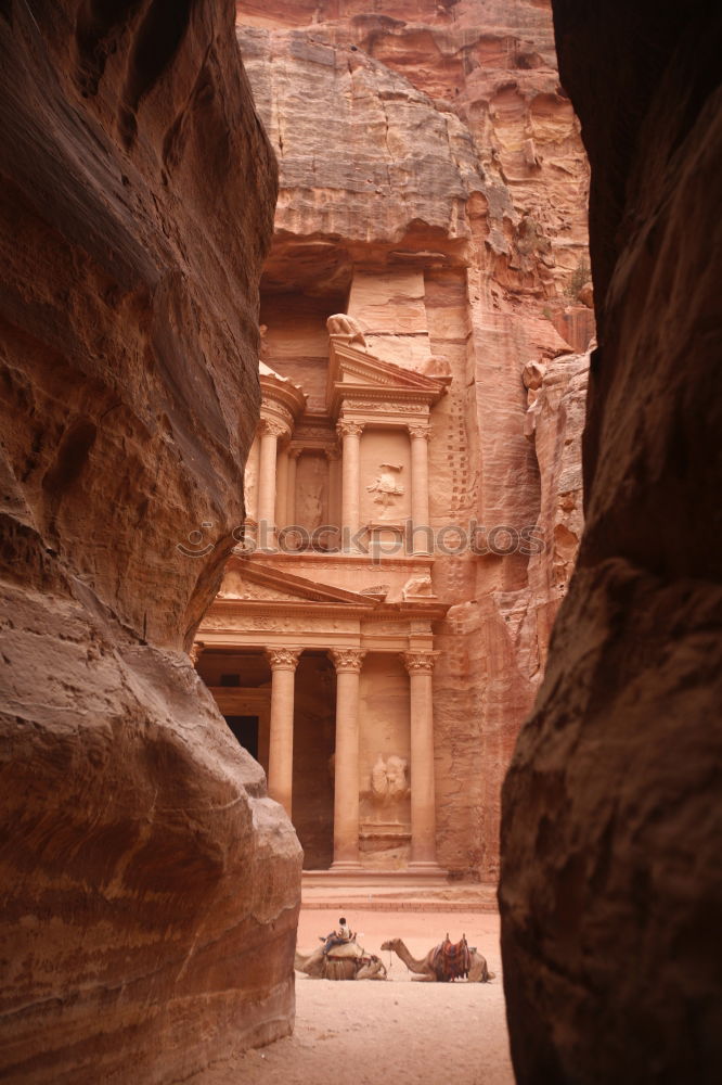 Similar – Image, Stock Photo Camels on ground against ancient temple carved in rock