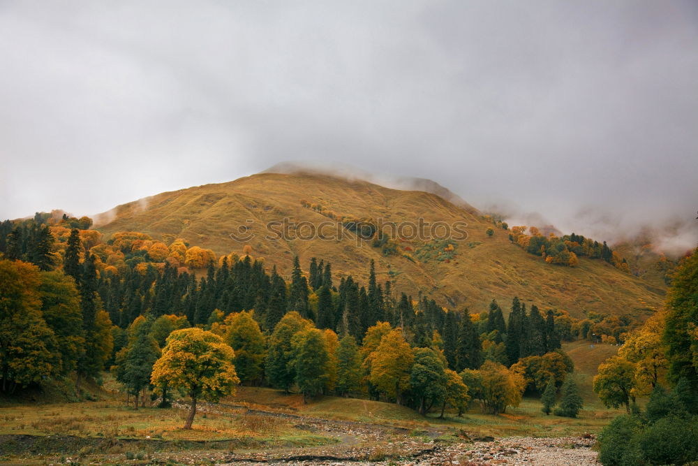 Similar – Western Colorado