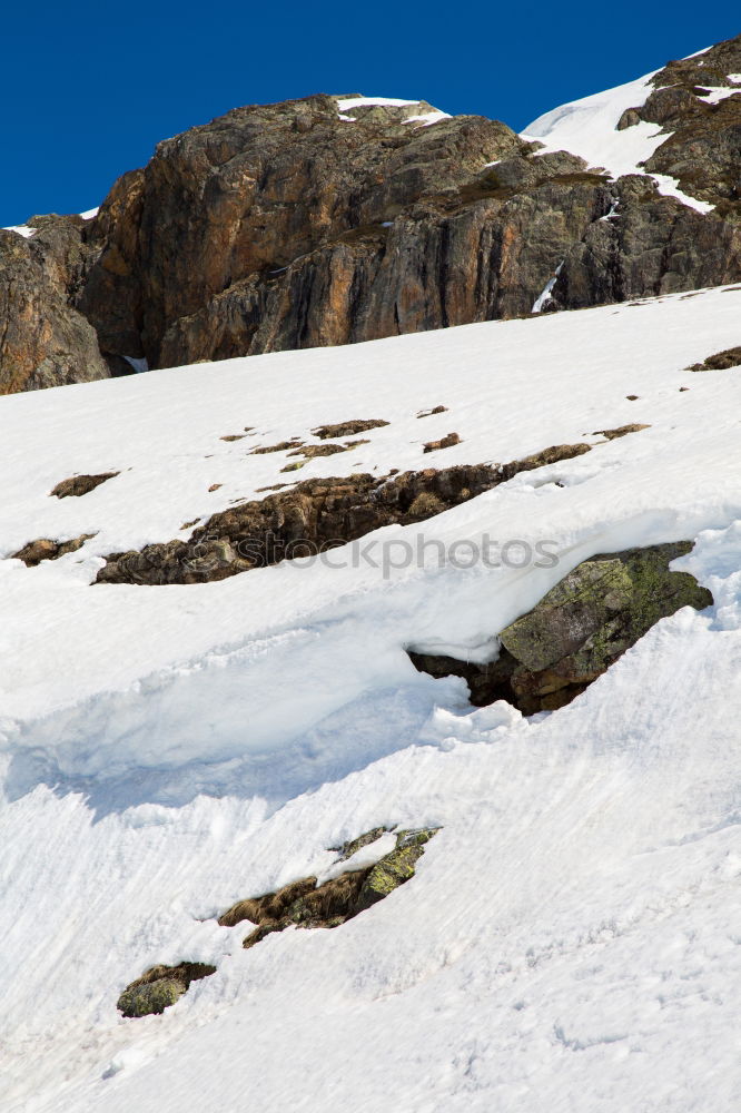 Similar – wonderfull winter day on the Zugspitze