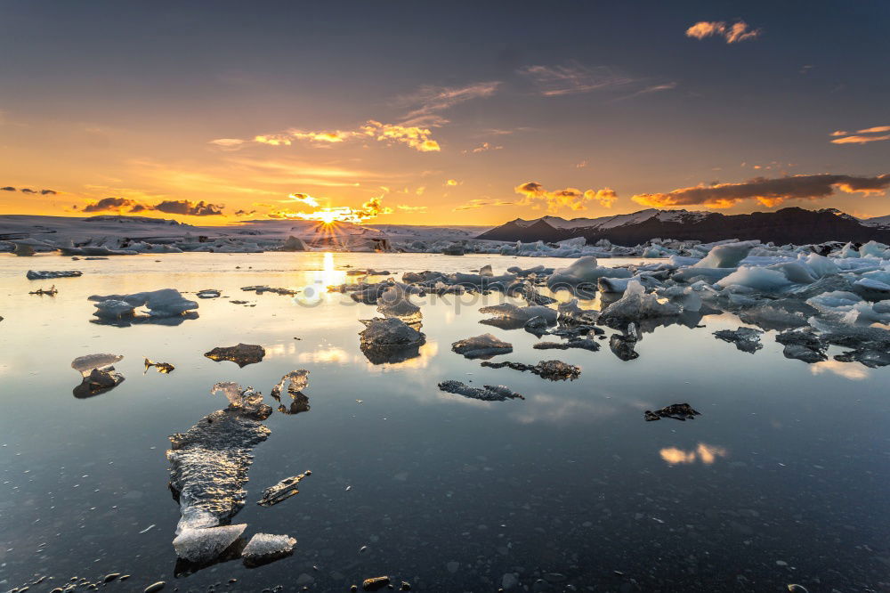 Similar – Glacier Bay Beautiful Life