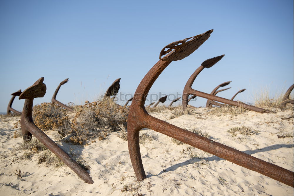 Similar – Image, Stock Photo Cape Coast Wreck Ocean