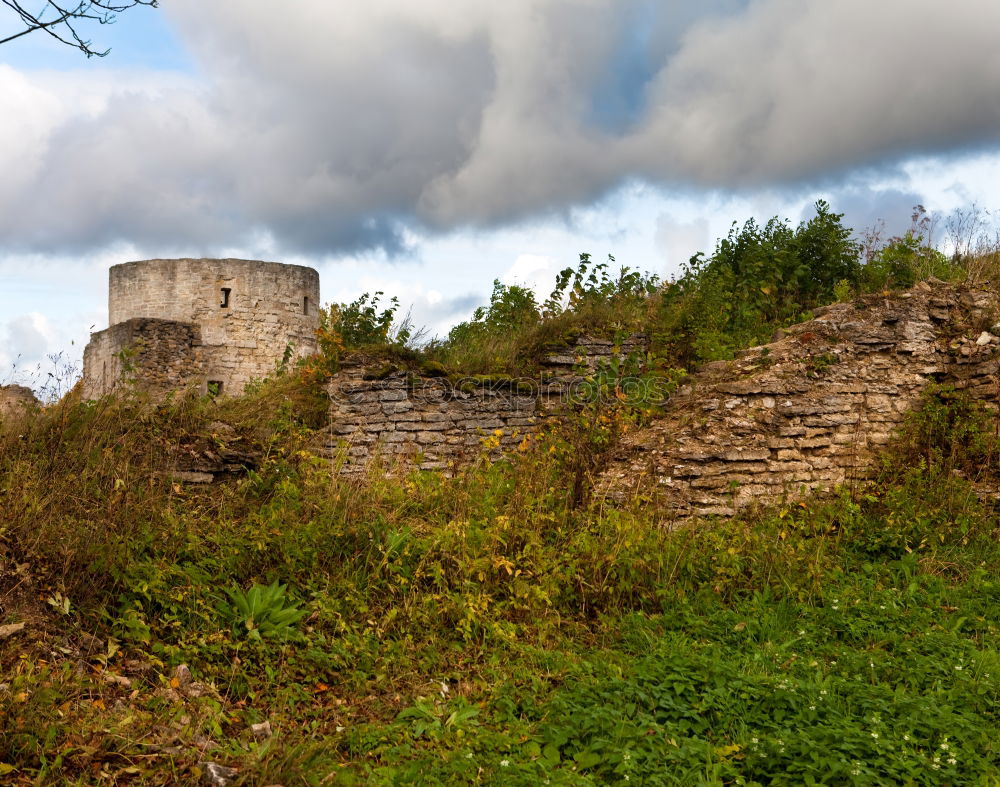 Similar – Foto Bild Auf der Höhe sein Natur