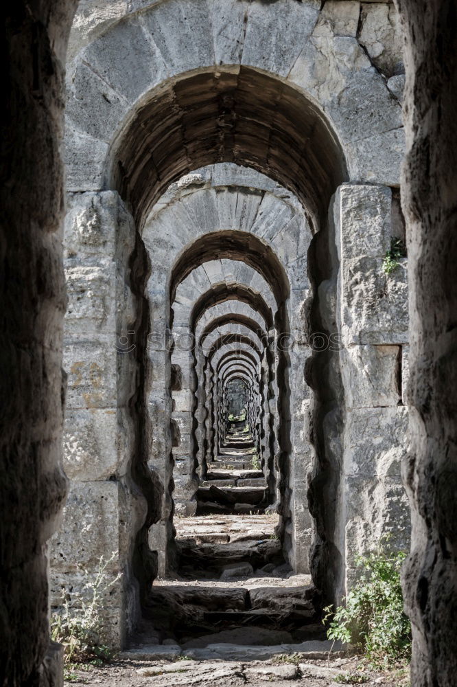 Similar – crypt Deserted Church