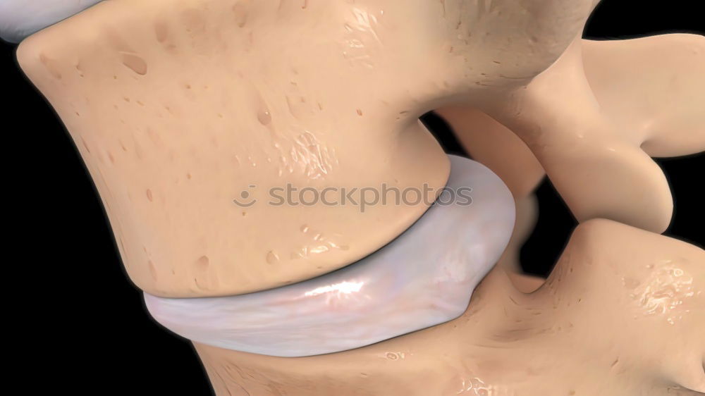 Similar – Image, Stock Photo Terminal hair of the woman