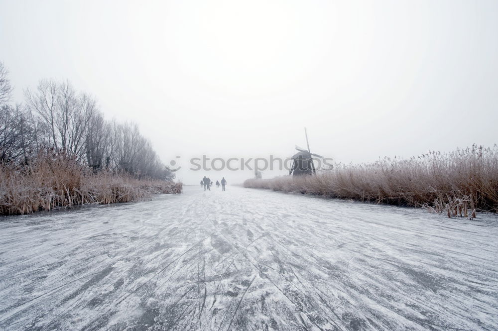 Foto Bild Verkehr auf der Wasserstraße