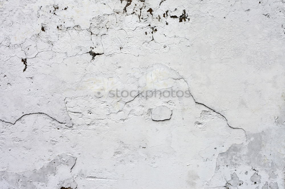 Similar – Image, Stock Photo footprints Drought Plant