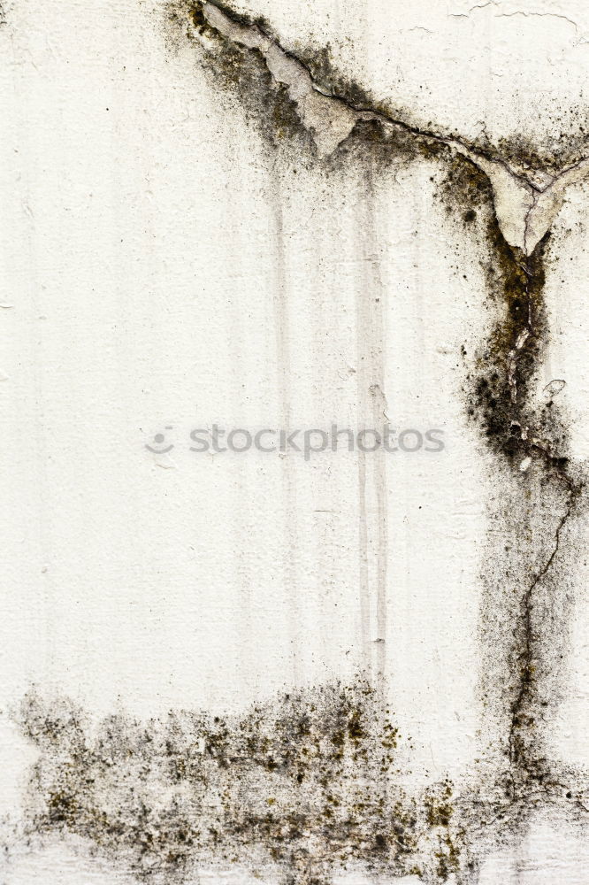 Similar – Image, Stock Photo leak Plastic Thin Broken