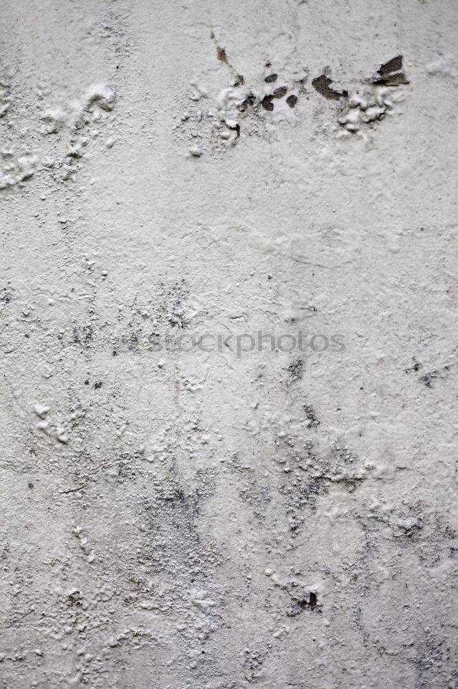 Similar – Image, Stock Photo footprints Drought Plant