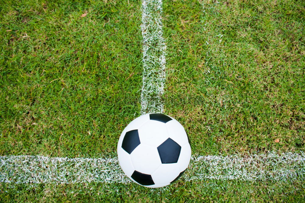 Similar – soccer Football pitch